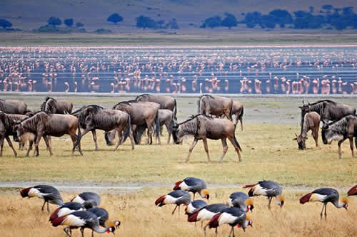 lake manyara