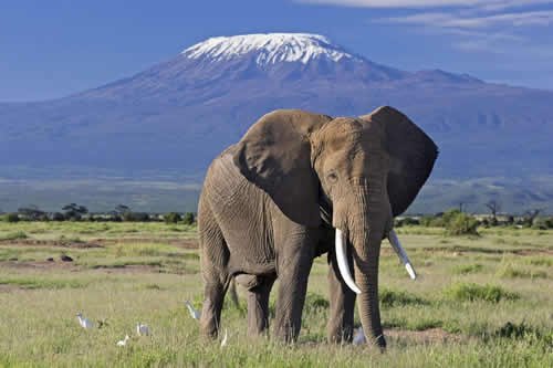 amboseli