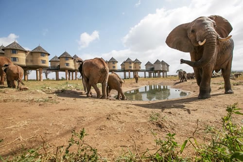 amboseli