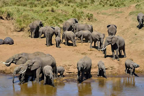 tarangire national park